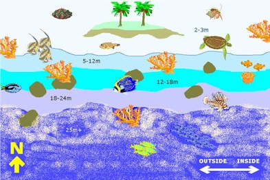 Muthafushi Drop-Off